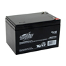 Interstate 12 Volt 12 Ah Sealed Lead Acid Battery (SLA) - 0.250 Faston
