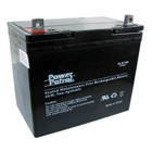 Interstate 12 Volt 55 Ah Sealed Lead Acid Battery (SLA)