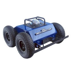 Custom Robot