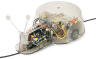 Line Tracing Snail Kit (Item #75020)