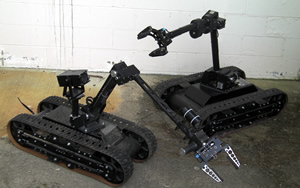 Custom Robot Kits