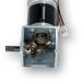 IG42 24VDC Right Angle 078 RPM Gear Motor with Encoder