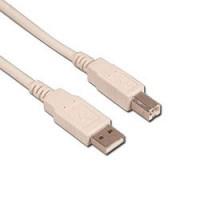 USB AM-BM 2.0 Cable 6Ft