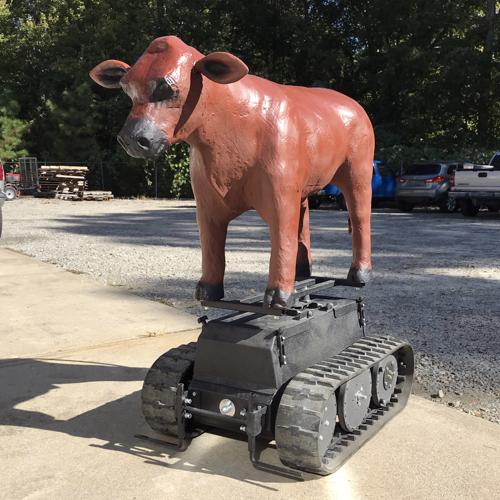 RealCow Robotic System