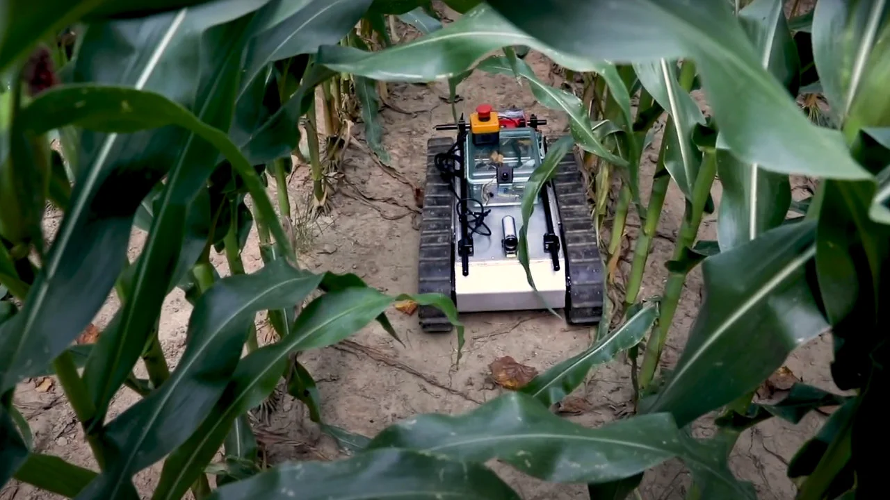 Robot in Agriculture Field