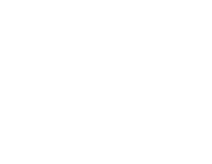 Graphic of HD2-S Mastiff