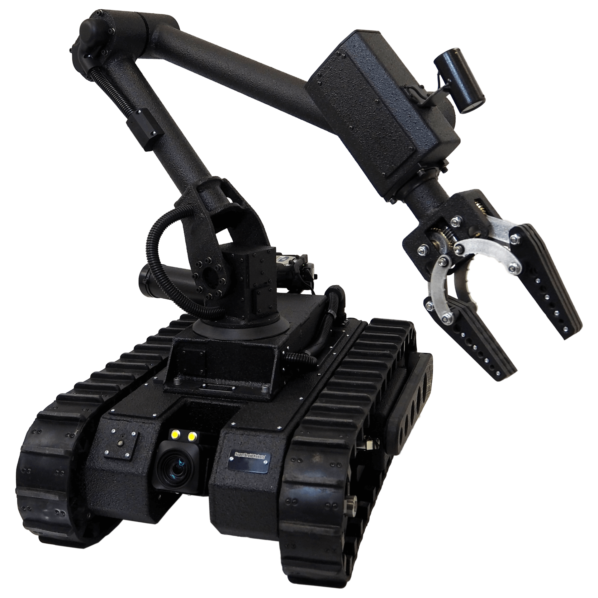 Bulldog_003_tran