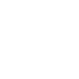 Autonomous Robots