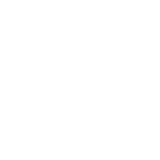 Custom Robots
