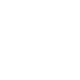 Humanoid Robot