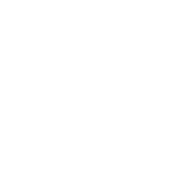 Tactical Robots